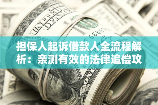 武汉担保人起诉借款人全流程解析：亲测有效的法律追偿攻略