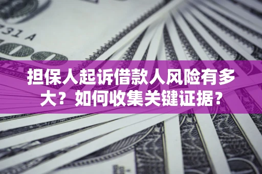 武汉担保人起诉借款人风险有多大？如何收集关键证据？