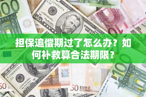 武汉担保追偿期过了怎么办？如何补救算合法期限？