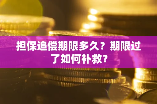 武汉担保追偿期限多久？期限过了如何补救？