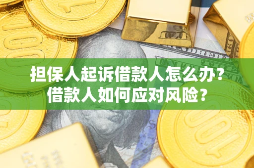 武汉担保人起诉借款人怎么办？借款人如何应对风险？