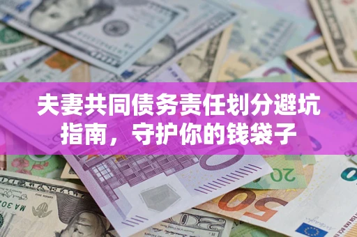 武汉夫妻共同债务责任划分避坑指南，守护你的钱袋子