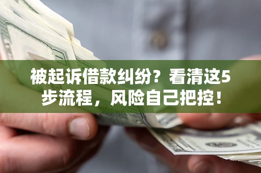 武汉被起诉借款纠纷？看清这5步流程，风险自己把控！