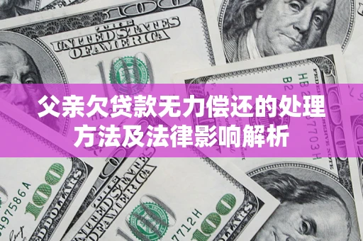 武汉父亲欠贷款无力偿还的处理方法及法律影响解析