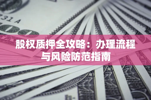 武汉股权质押全攻略：办理流程与风险防范指南